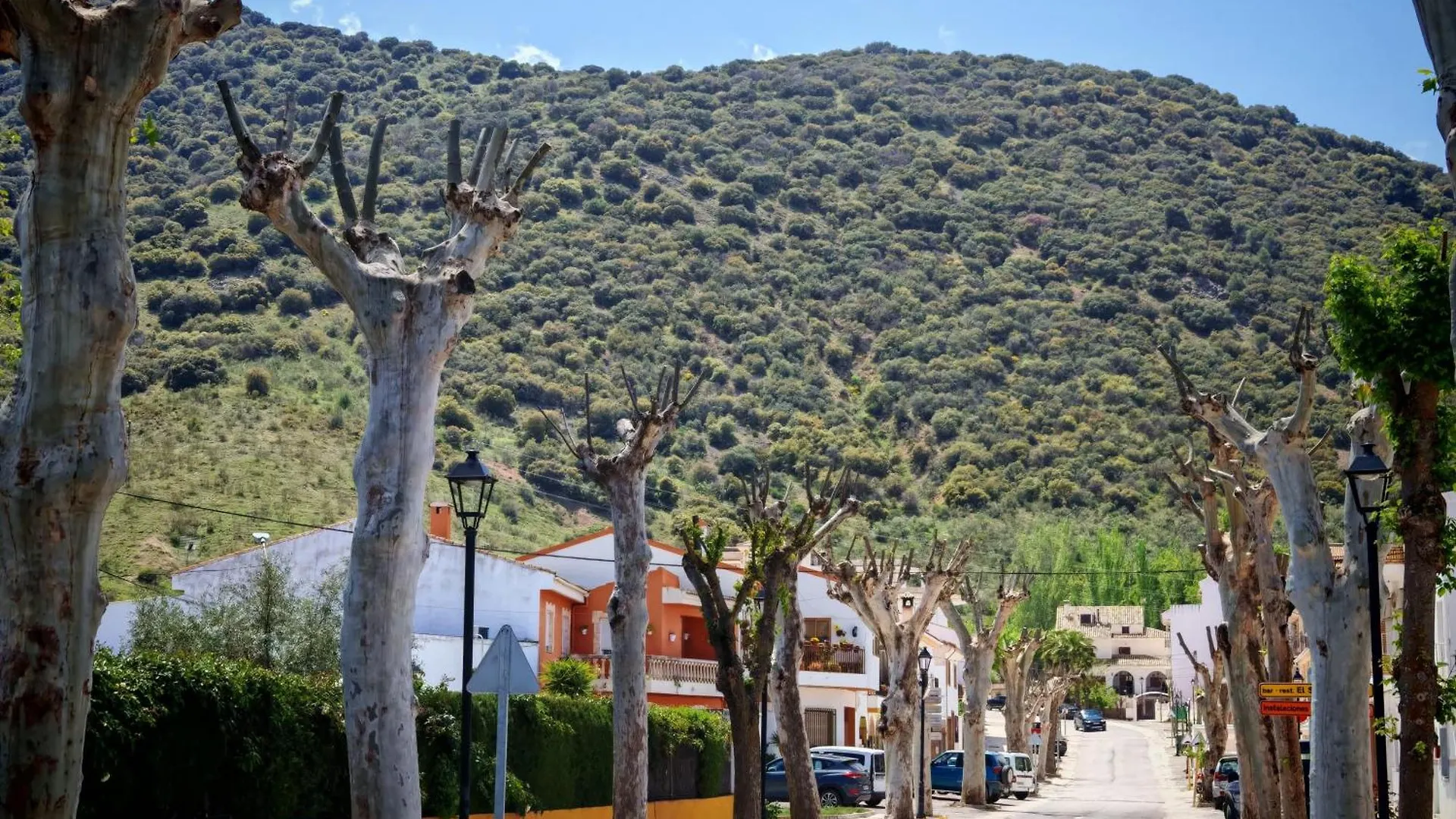 Сasa de vacaciones Alojamiento Rural Casa La Abuela Arbuniel España